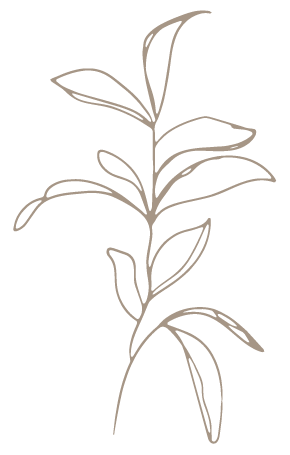 BL Botanical Icon Oat