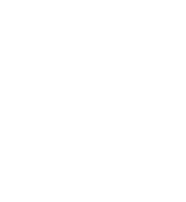 BL Brand Mark White